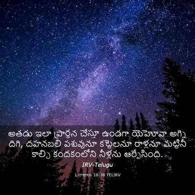 Picture 03 - 1 రాజులు 18:38 TELIRV - అతడు ఇలా ప్రార్థన - Bible Verse Picture