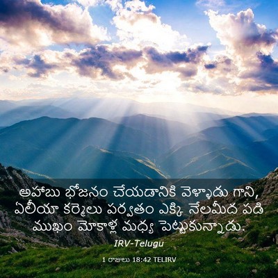 Picture 03 - 1 రాజులు 18:42 TELIRV - అహాబు భోజనం - Bible Verse Picture