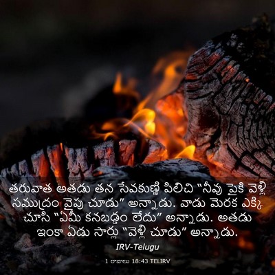 Picture 03 - 1 రాజులు 18:43 TELIRV - తరువాత అతడు తన - Bible Verse Picture