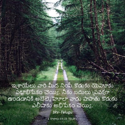 Picture 03 - 1 రాజులు 19:16 TELIRV - ఇశ్రాయేలు వారి - Bible Verse Picture