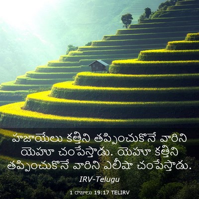 Picture 03 - 1 రాజులు 19:17 TELIRV - హజాయేలు కత్తిని - Bible Verse Picture