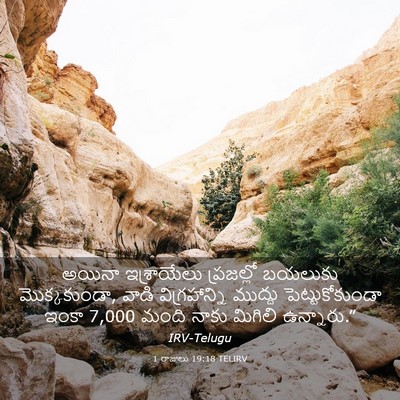 Picture 03 - 1 రాజులు 19:18 TELIRV - అయినా ఇశ్రాయేలు - Bible Verse Picture