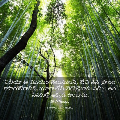 Picture 03 - 1 రాజులు 19:3 TELIRV - ఏలీయా ఈ విషయం - Bible Verse Picture