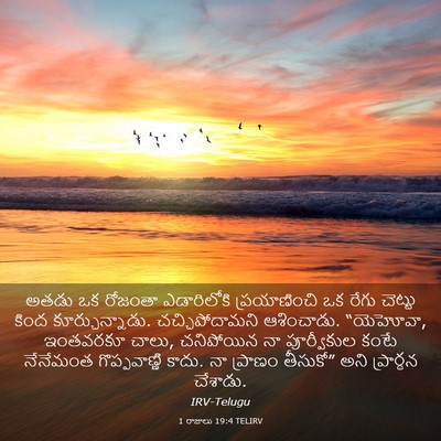 Picture 03 - 1 రాజులు 19:4 TELIRV - అతడు ఒక రోజంతా - Bible Verse Picture