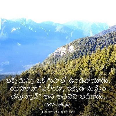Picture 03 - 1 రాజులు 19:9 TELIRV - అక్కడున్న ఒక - Bible Verse Picture