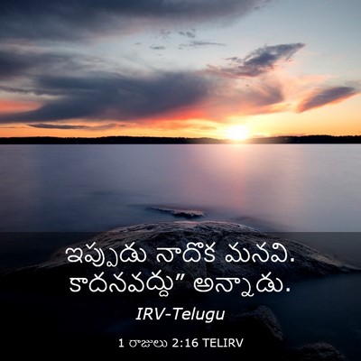 Picture 03 - 1 రాజులు 2:16 TELIRV - ఇప్పుడు నాదొక - Bible Verse Picture