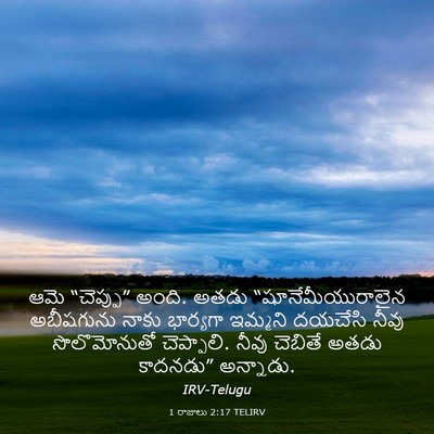 Picture 03 - 1 రాజులు 2:17 TELIRV - ఆమె “చెప్పు” అంది. - Bible Verse Picture