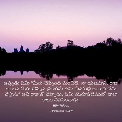 Picture 03 - 1 రాజులు 2:38 TELIRV - అప్పుడు షిమీ - Bible Verse Picture
