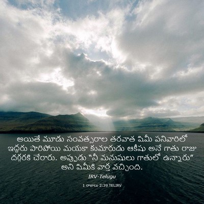 Picture 03 - 1 రాజులు 2:39 TELIRV - అయితే మూడు - Bible Verse Picture