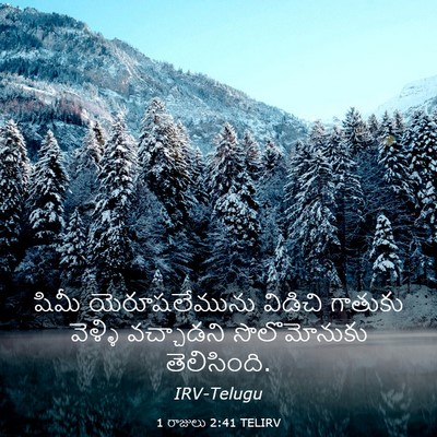 Picture 03 - 1 రాజులు 2:41 TELIRV - షిమీ యెరూషలేమును - Bible Verse Picture