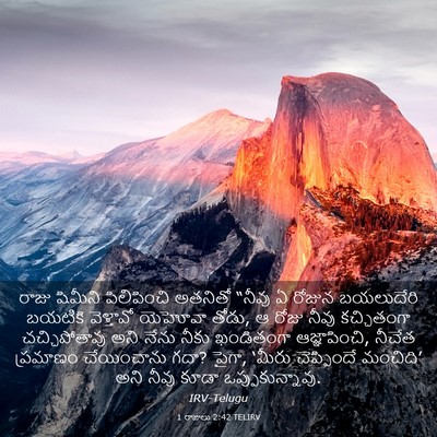 Picture 03 - 1 రాజులు 2:42 TELIRV - రాజు షిమీని - Bible Verse Picture