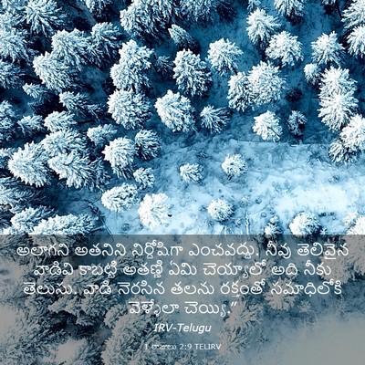 Picture 03 - 1 రాజులు 2:9 TELIRV - అలాగని అతనిని - Bible Verse Picture