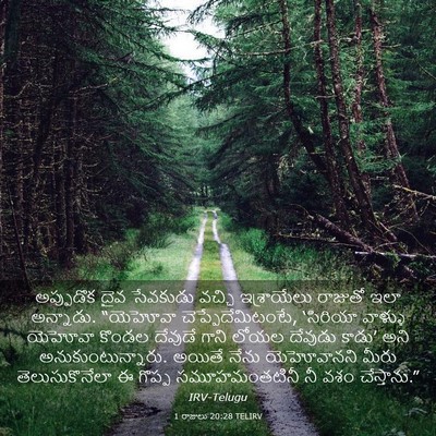 Picture 03 - 1 రాజులు 20:28 TELIRV - అప్పుడొక దైవ - Bible Verse Picture