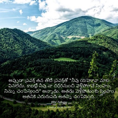 Picture 03 - 1 రాజులు 20:36 TELIRV - అప్పుడా ప్రవక్త - Bible Verse Picture
