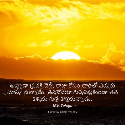 Picture 03 - 1 రాజులు 20:38 TELIRV - అప్పుడా ప్రవక్త - Bible Verse Picture