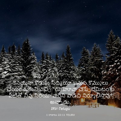 Picture 03 - 1 రాజులు 22:11 TELIRV - కెనయనా కొడుకు - Bible Verse Picture