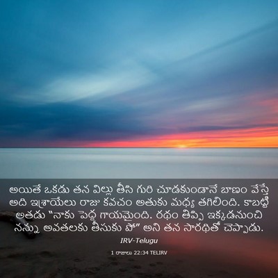 Picture 03 - 1 రాజులు 22:34 TELIRV - అయితే ఒకడు తన - Bible Verse Picture