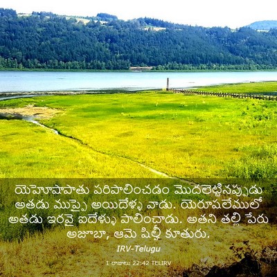 Picture 03 - 1 రాజులు 22:42 TELIRV - యెహోషాపాతు - Bible Verse Picture