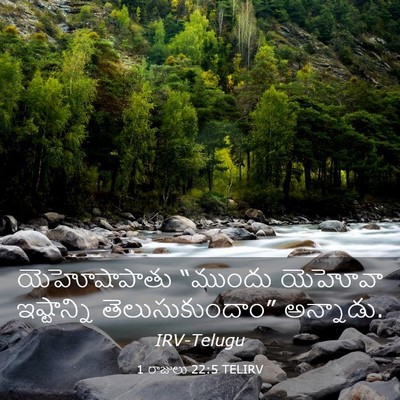 Picture 03 - 1 రాజులు 22:5 TELIRV - యెహోషాపాతు “ముందు - Bible Verse Picture