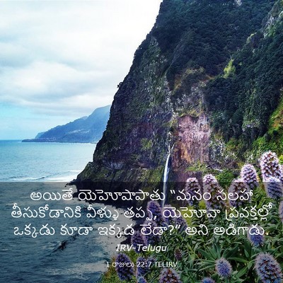 Picture 03 - 1 రాజులు 22:7 TELIRV - అయితే యెహోషాపాతు - Bible Verse Picture