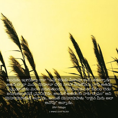 Picture 03 - 1 రాజులు 22:8 TELIRV - అందుకు ఇశ్రాయేలు - Bible Verse Picture