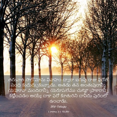 Picture 03 - 1 రాజులు 3:1 TELIRV - తరువాత సొలొమోను - Bible Verse Picture