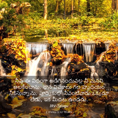 Picture 03 - 1 రాజులు 3:12 TELIRV - నీవు ఈ విధంగా - Bible Verse Picture