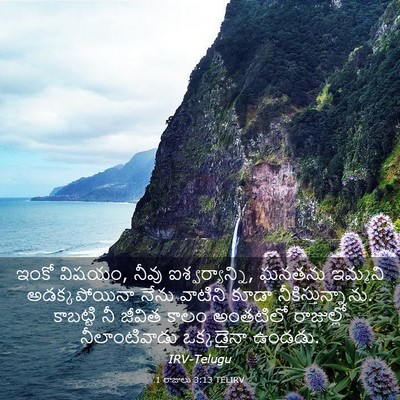 Picture 03 - 1 రాజులు 3:13 TELIRV - ఇంకో విషయం, నీవు - Bible Verse Picture