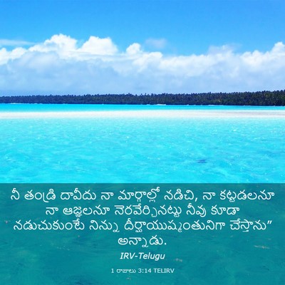 Picture 03 - 1 రాజులు 3:14 TELIRV - నీ తండ్రి దావీదు - Bible Verse Picture