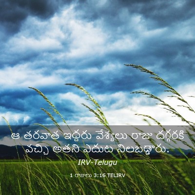Picture 03 - 1 రాజులు 3:16 TELIRV - ఆ తరవాత ఇద్దరు - Bible Verse Picture