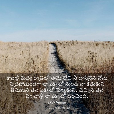 Picture 03 - 1 రాజులు 3:20 TELIRV - కాబట్టి మధ్య - Bible Verse Picture