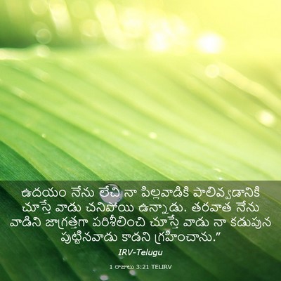 Picture 03 - 1 రాజులు 3:21 TELIRV - ఉదయం నేను లేచి నా - Bible Verse Picture