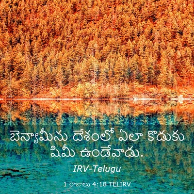 Picture 03 - 1 రాజులు 4:18 TELIRV - బెన్యామీను దేశంలో - Bible Verse Picture