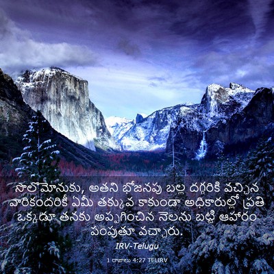 Picture 03 - 1 రాజులు 4:27 TELIRV - సొలొమోనుకు, అతని - Bible Verse Picture
