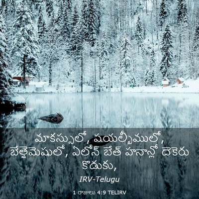 Picture 03 - 1 రాజులు 4:9 TELIRV - మాకస్సులో, - Bible Verse Picture