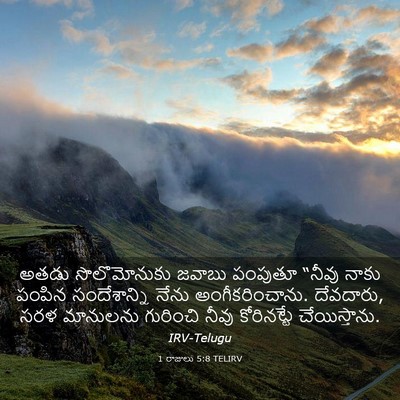 Picture 03 - 1 రాజులు 5:8 TELIRV - అతడు సొలొమోనుకు - Bible Verse Picture