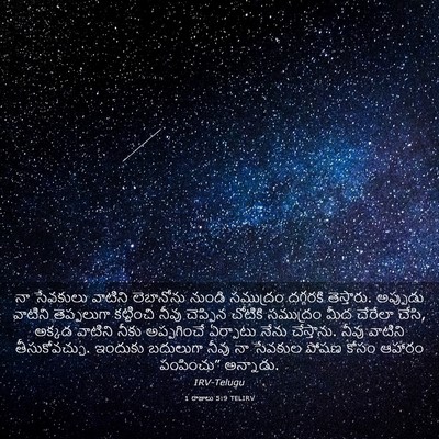 Picture 03 - 1 రాజులు 5:9 TELIRV - నా సేవకులు వాటిని - Bible Verse Picture