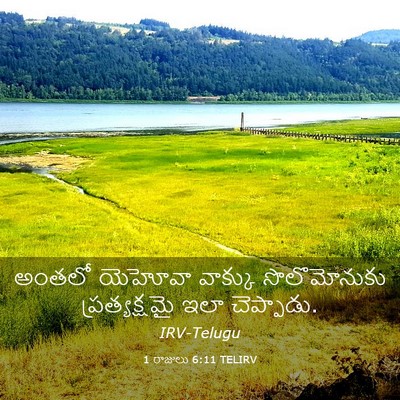Picture 03 - 1 రాజులు 6:11 TELIRV - అంతలో యెహోవా - Bible Verse Picture