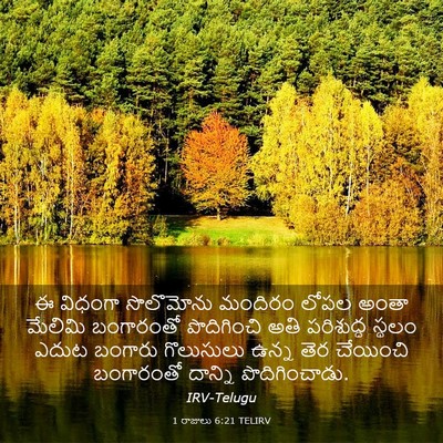 Picture 03 - 1 రాజులు 6:21 TELIRV - ఈ విధంగా సొలొమోను - Bible Verse Picture
