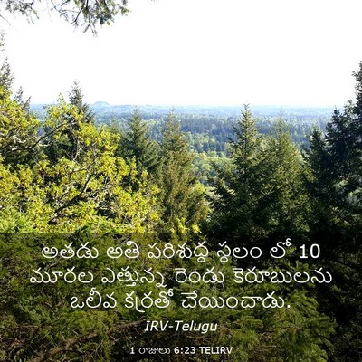 Picture 03 - 1 రాజులు 6:23 TELIRV - అతడు అతి పరిశుద్ధ - Bible Verse Picture