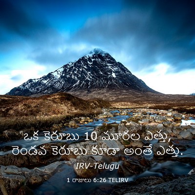 Picture 03 - 1 రాజులు 6:26 TELIRV - ఒక కెరూబు 10 మూరల - Bible Verse Picture