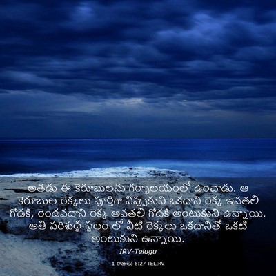 Picture 03 - 1 రాజులు 6:27 TELIRV - అతడు ఈ కెరూబులను - Bible Verse Picture