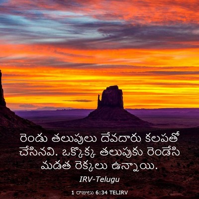 Picture 03 - 1 రాజులు 6:34 TELIRV - రెండు తలుపులు - Bible Verse Picture