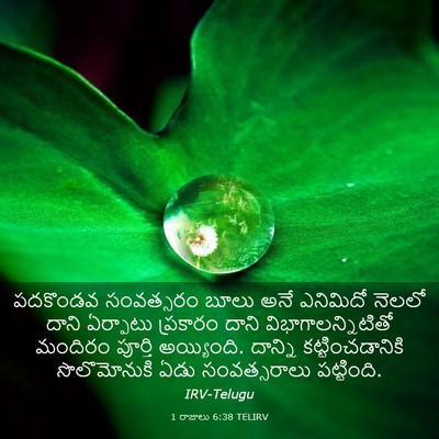 Picture 03 - 1 రాజులు 6:38 TELIRV - పదకొండవ సంవత్సరం - Bible Verse Picture