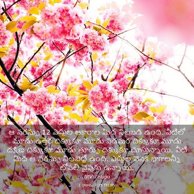 Picture 03 - 1 రాజులు 7:25 TELIRV - ఆ సరస్సు 12 ఎద్దుల - Bible Verse Picture