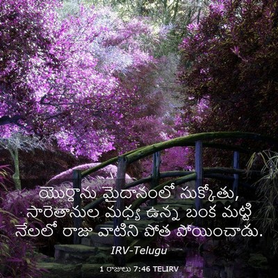 Picture 03 - 1 రాజులు 7:46 TELIRV - యొర్దాను మైదానంలో - Bible Verse Picture