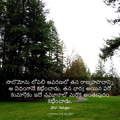 Picture 03 - 1 రాజులు 7:8 TELIRV - సొలొమోను లోపలి - Bible Verse Picture