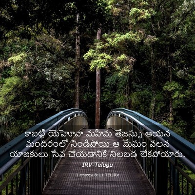 Picture 03 - 1 రాజులు 8:11 TELIRV - కాబట్టి యెహోవా - Bible Verse Picture