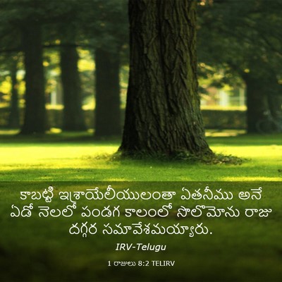 Picture 03 - 1 రాజులు 8:2 TELIRV - కాబట్టి - Bible Verse Picture