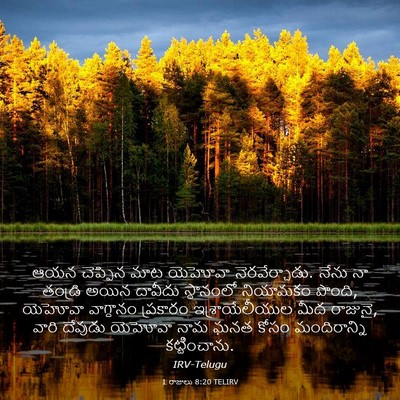 Picture 03 - 1 రాజులు 8:20 TELIRV - ఆయన చెప్పిన మాట - Bible Verse Picture